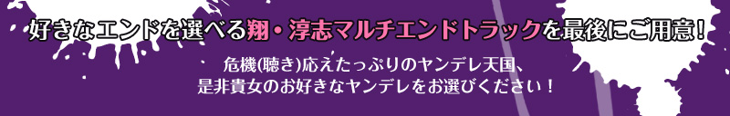 ユーザーの好きなエンドを選べる翔、淳志マルチエンドトラックを最後にご用意！
危機（聴き）応えたっぷりのヤンデレ天国、
是非貴女のお好きなヤンデレをお選びください！