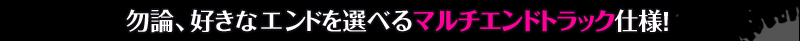 勿論、好きなエンドを選べるマルチエンドトラック仕様！